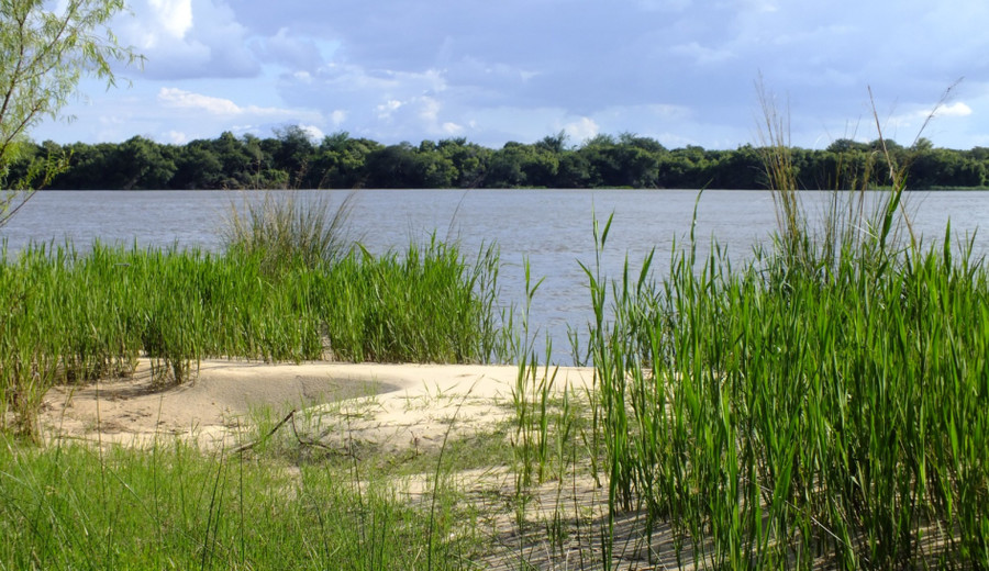 imagen de Esteros de Farrapos crece y refuerza la protección de uno de los humedales más valiosos del país