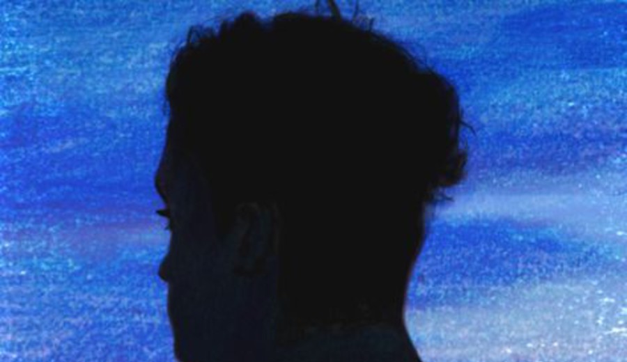 imagen de Frágil como cristal. Esteban Valenti