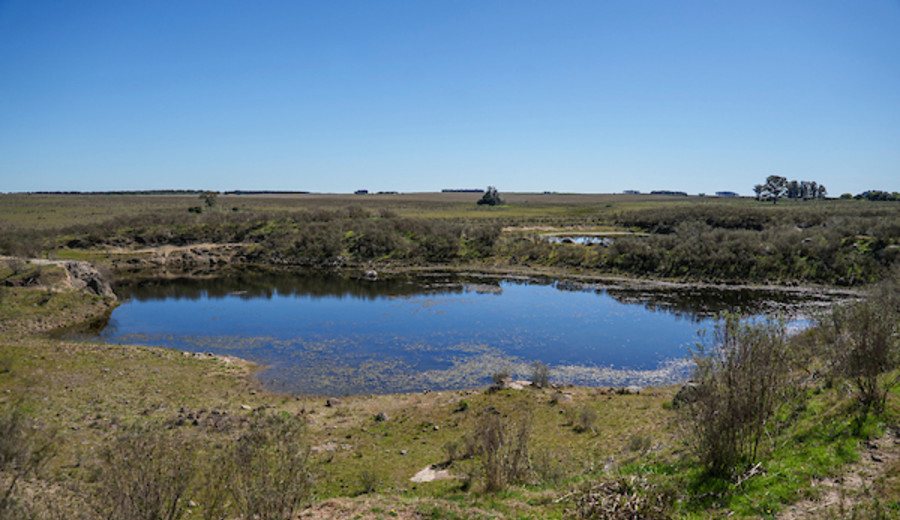 imagen de Gobierno aprobó préstamo de US$ 130 millones de la CAF para la construcción de represa en Casupá