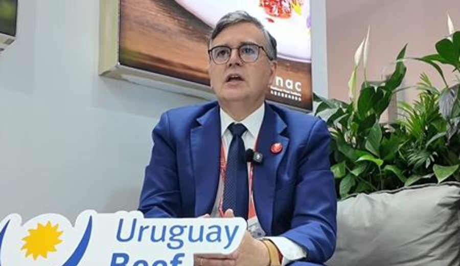 imagen de Embajador uruguayo en China destaca oportunidades de Hainan para ampliar cooperación bilateral en CICPE