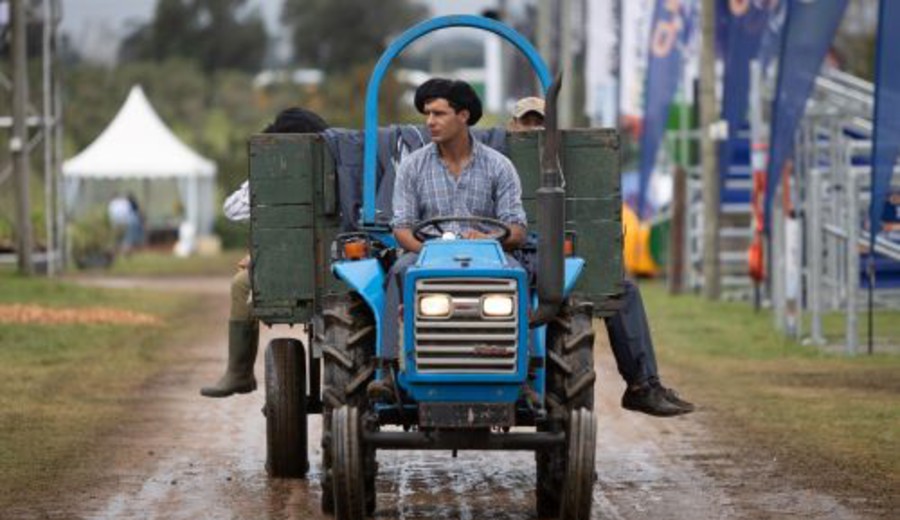imagen de Se inauguró la 15ª. edición de la muestra agroindustrial Expo Melilla