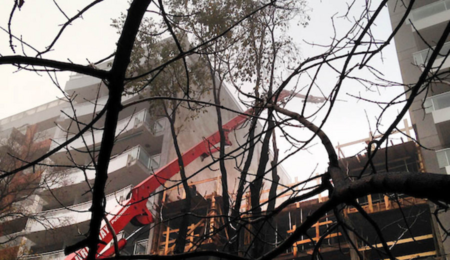 imagen de Facultad de Ingeniería desarrolla un hormigón similar al acero que extendería más de 100 años la vida de obras