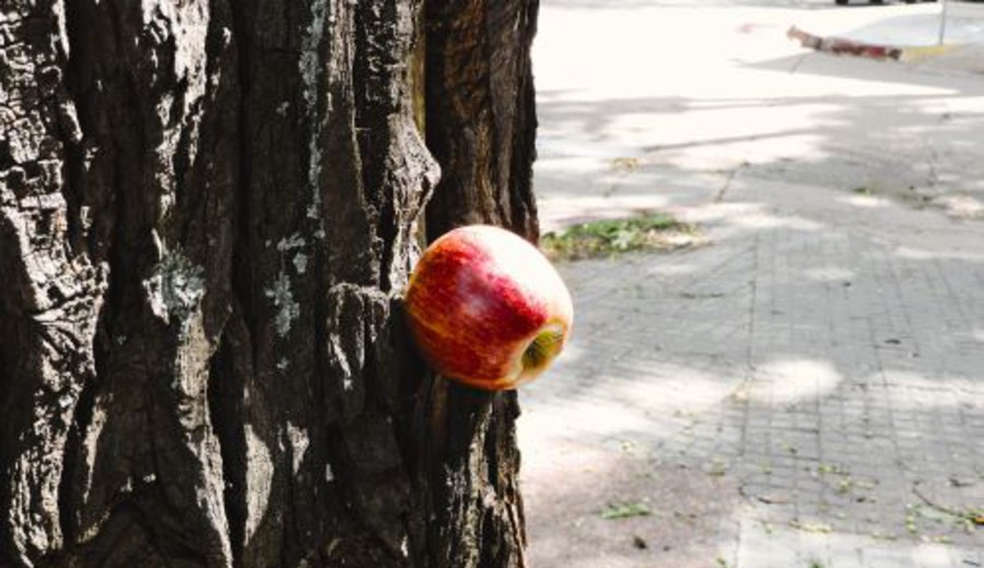 imagen de El día en el que casi naufraga la ley de la gravitación universal