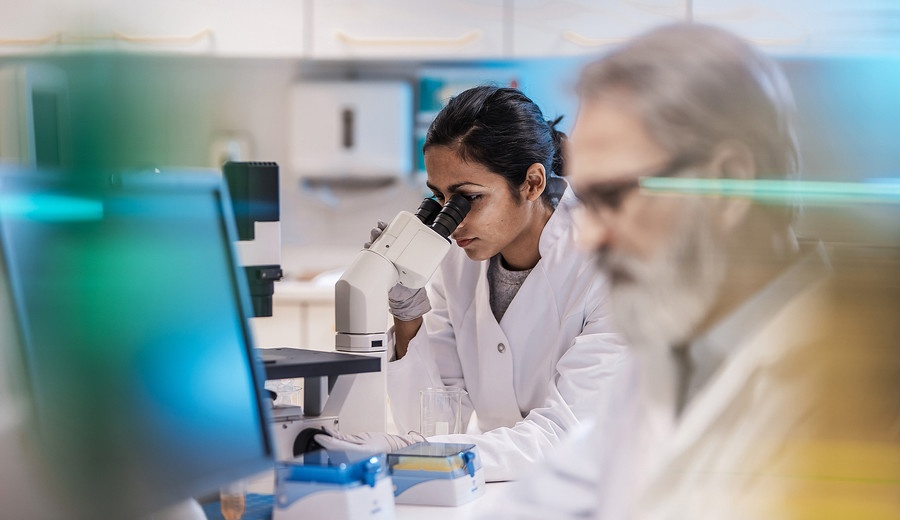 imagen de El Fondo Ida Holz cerró con 80 postulaciones y dejó en evidencia la demanda por investigación de largo plazo