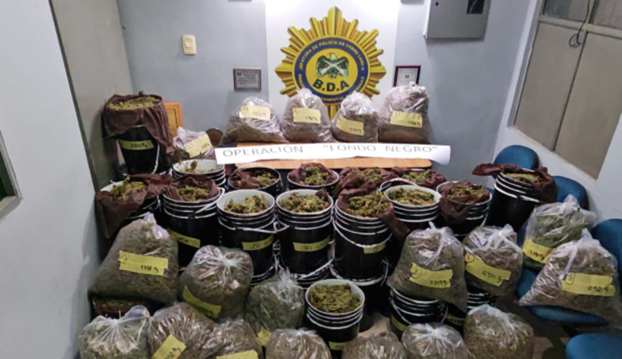 imagen de Tres operativos antidrogas dejan más de 128 kilos incautados y varias condenas en Uruguay