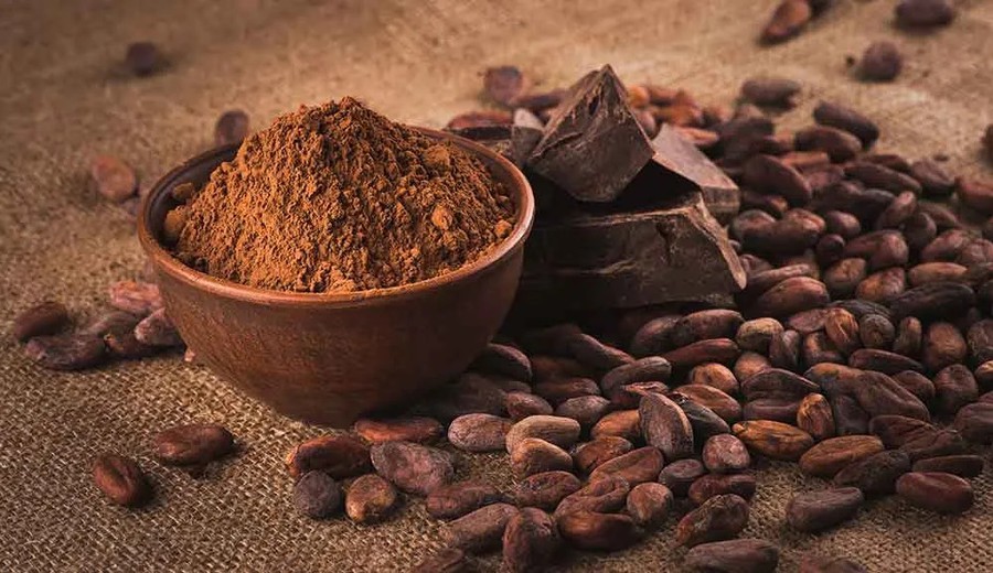 imagen de Uruguay no cultiva cacao, pero busca ganar lugar cuando el mercado mundial se abarata