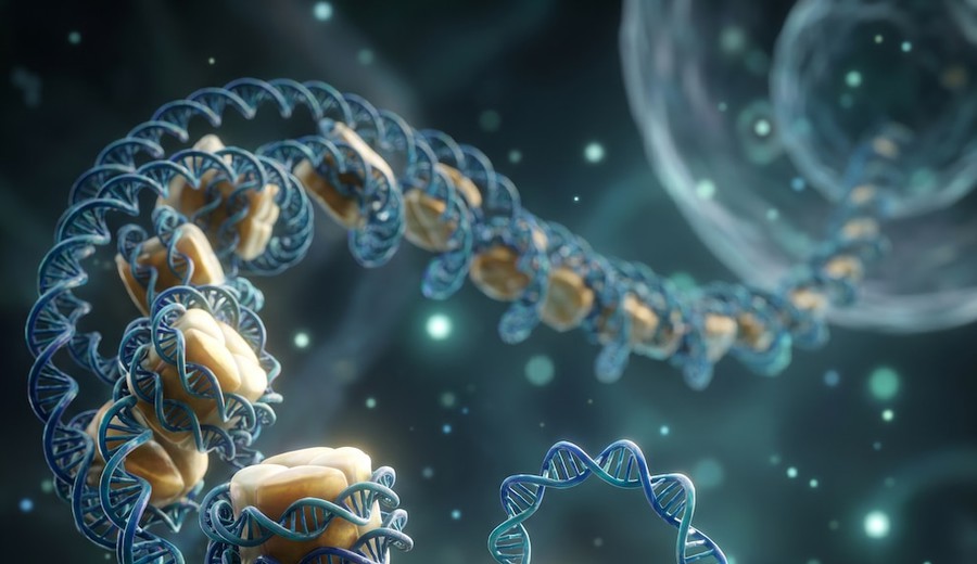 imagen de Un método con IA revela datos inéditos sobre el ADN humano y abre nuevas vías para tratar enfermedades