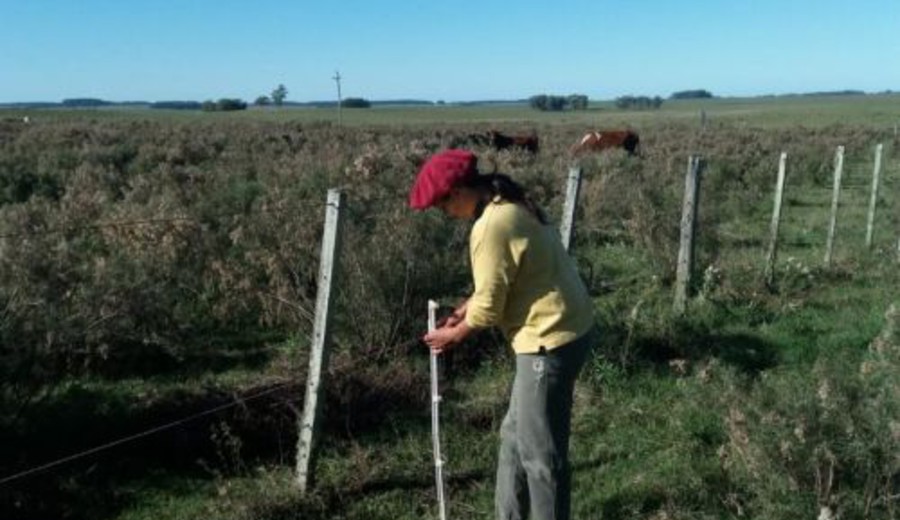 imagen de AEBU: El trabajo rural, una conquista permanente