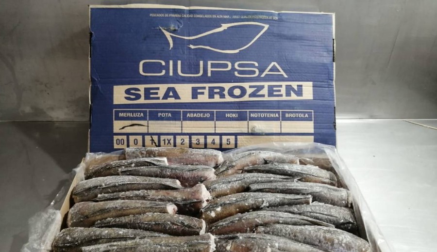 imagen de Uruguay concreta su primera exportación pesquera con arancel cero hacia la Unión Europea