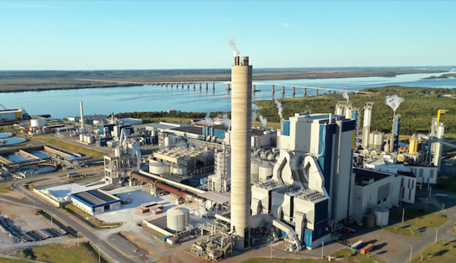 imagen de UPM solicitó aumentar producción de 1,3 a 1,5 millones de toneladas de celulosa en Fray Bentos