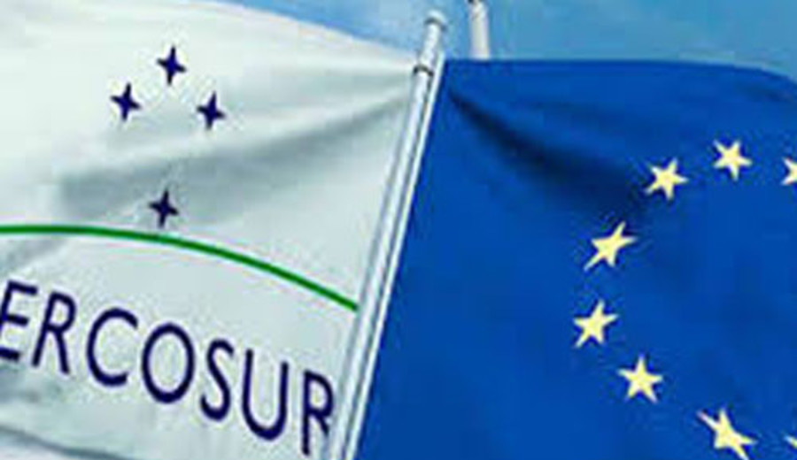 imagen de Uruguay celebra primera exportación a UE sin aranceles tras acuerdo con Mercosur