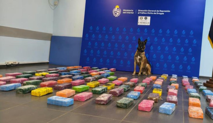imagen de Policía incautó 118 kilos de pasta base en Ruta 1 y condenaron a dos ciudadanos paraguayos
