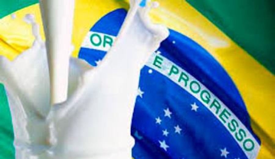 imagen de Brasil no aplicará sanciones por dumping contra los lácteos uruguayos