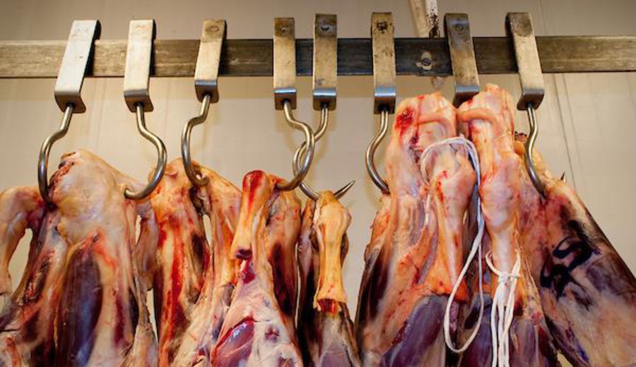 imagen de Uruguay inicia el envío de carne sin arancel a Europa y trabaja en aumentar su producción