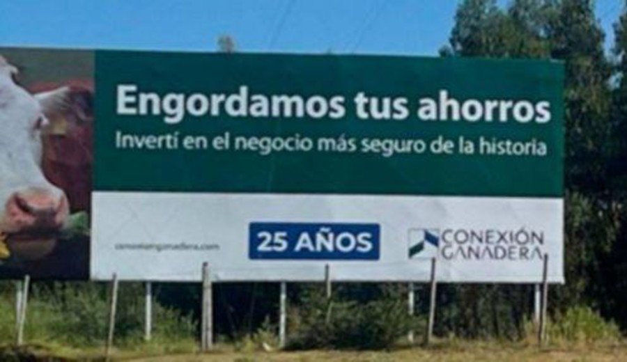 imagen de Damnificados de fondos ganaderos estiman estafa en U$S 600 millones