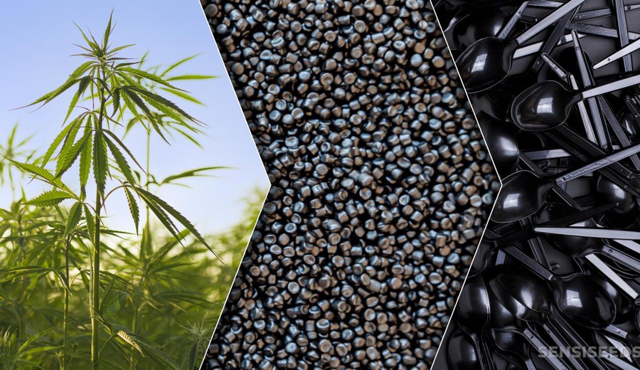 imagen de Estudio crea plástico de CBD, pero el costo aún lo aleja del PET