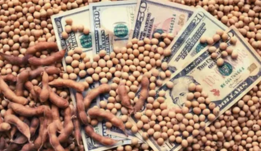 imagen de Fuerte sacudida en los mercados de granos: caída de entre 5% y 6% en los precios?