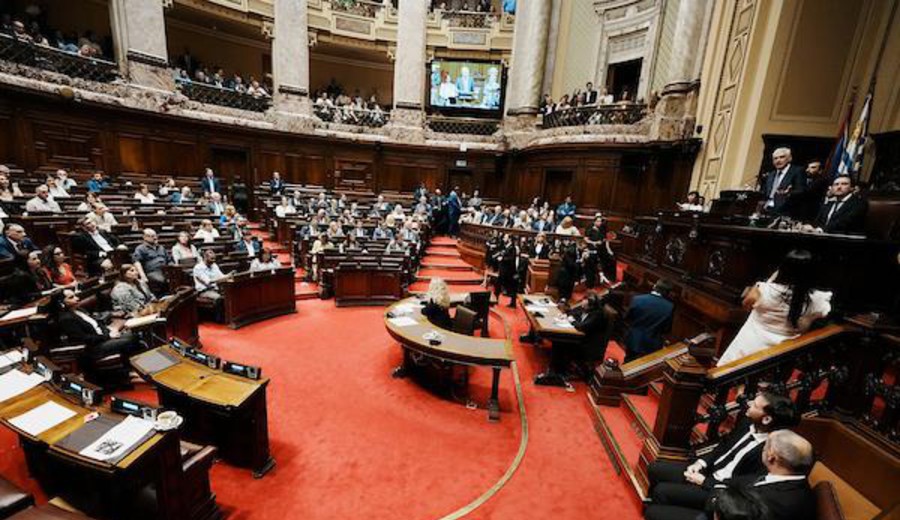 imagen de Investigadoras de ASSE: sin los votos en Diputados, el Partido Nacional recurrirá a la Justicia