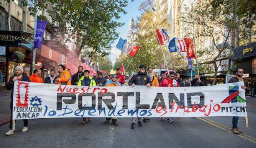 imagen de Diputados colorados proponen que Ancap deje de fabricar Pórtland