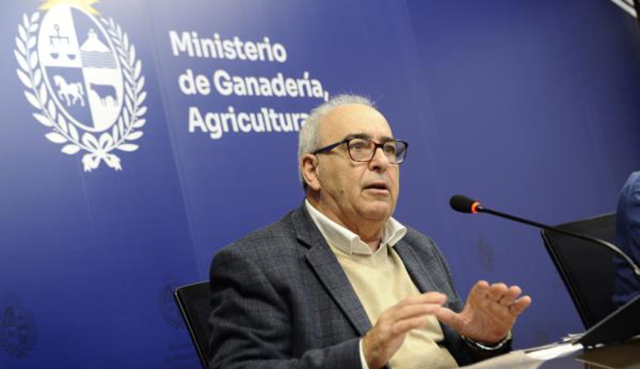 imagen de Uruguay avanza en la rehabilitación de frigoríficos para exportar carne vacuna a Rusia