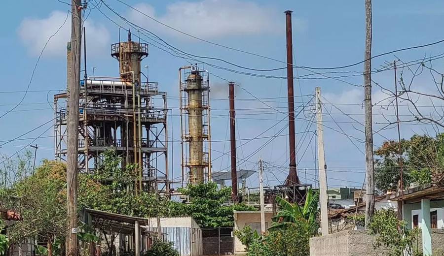imagen de Jorge Piñón, investigador, sobre los retos y posibilidades de Cuba: ”La caña de azúcar es la energía del futuro"