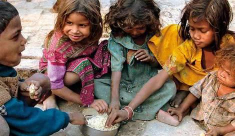 imagen de Soja transgénica: India vuelve a experimentar un problema de seguridad alimentaria al no habilitar su uso