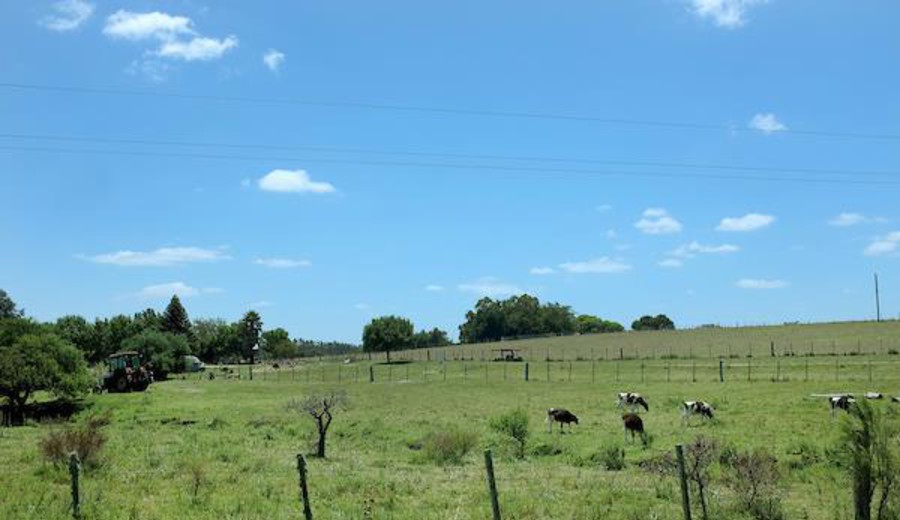imagen de Polémica por estudio alemán sobre Uruguay: científicos uruguayos denuncian un nuevo caso de colonialismo