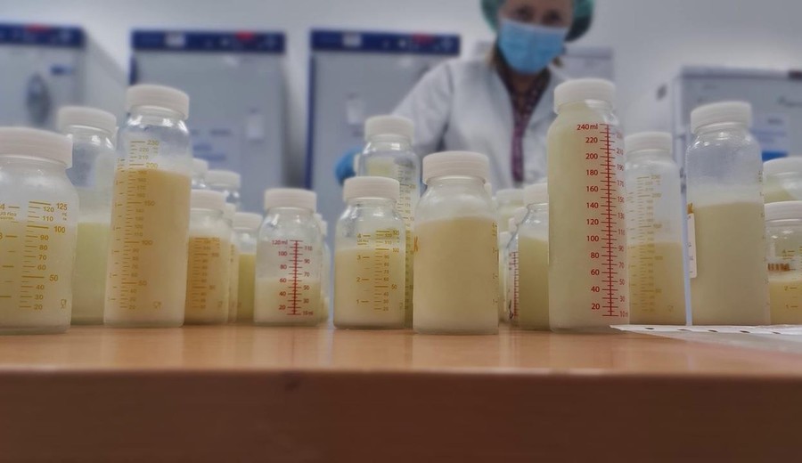 imagen de Udelar investiga si hay microplásticos en la leche materna uruguaya