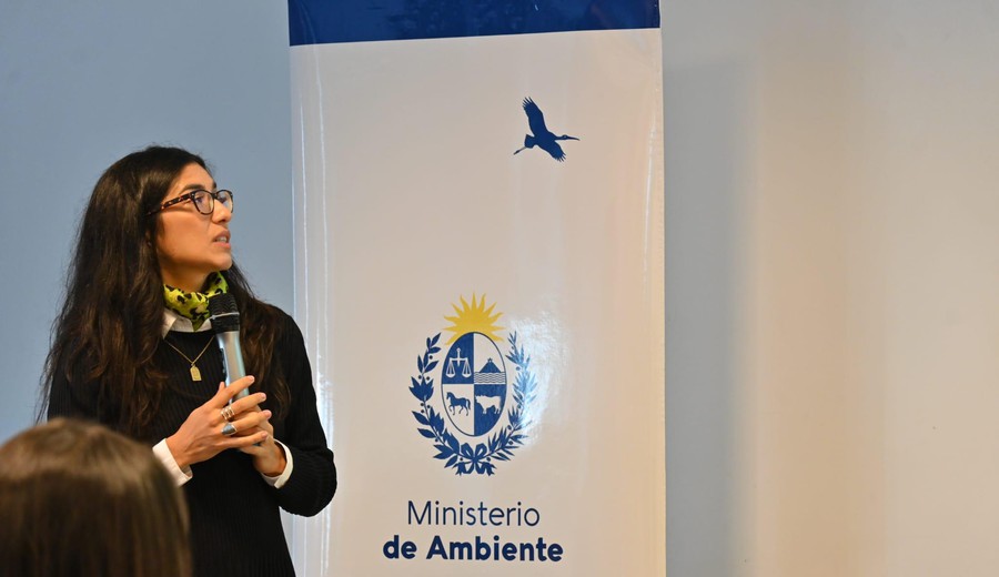 imagen de Un “furcio” sobre la matriz energética abrió un cruce entre oposición y oficialismo