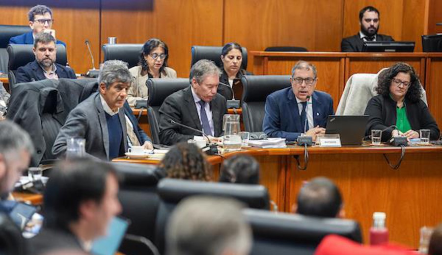 imagen de Rendición de Cuentas: Oddone defendió ante Diputados que los errores de proyección "son algo habitual"