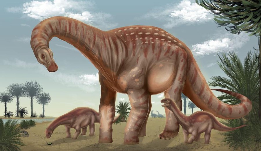 imagen de Descubrieron en Uruguay un dinosaurio gigante de 83 millones de años y lo llamaron "el protector"