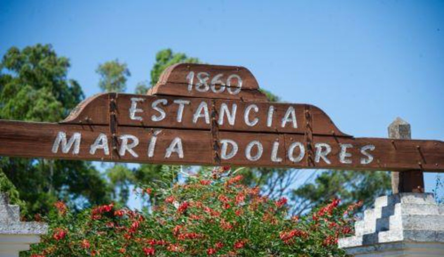 imagen de Colonización abrió llamado a aspirantes para ocupar predio en estancia María Dolores