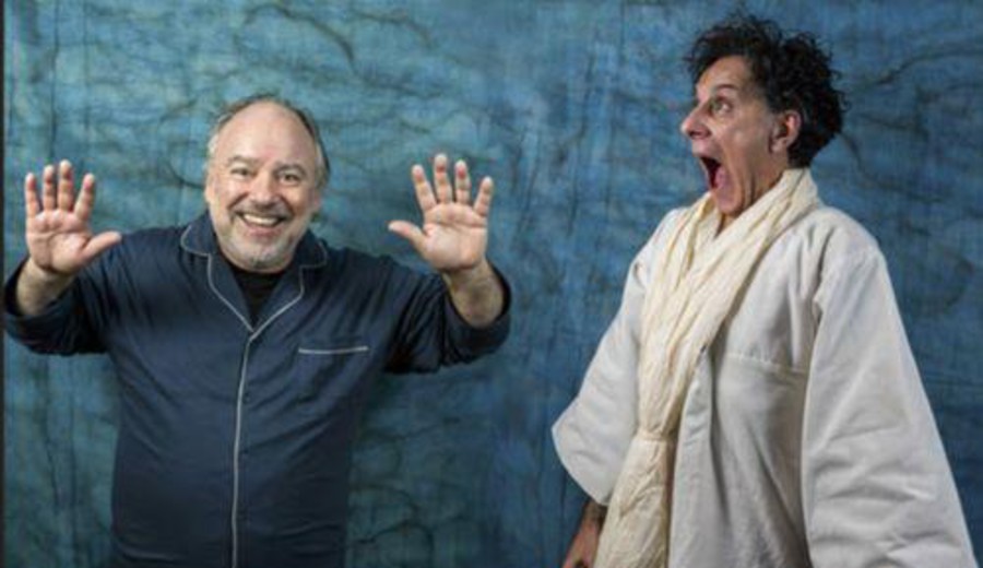imagen de Estreno: “El caso inevitable del Sr. Méndez”, con la dirección de Sandra Massera