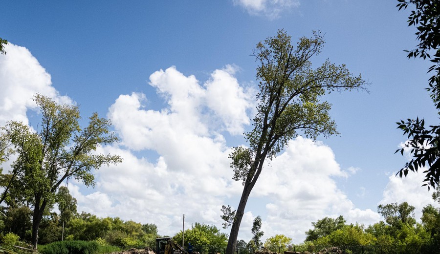 imagen de Montevideo reforzó la limpieza del arroyo Carrasco y anunció nuevas tareas de restauración