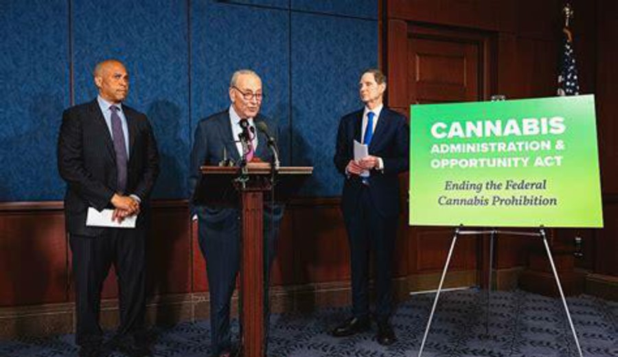 imagen de Senadores demócratas reimpulsan la legalización federal del cannabis en Estados Unidos