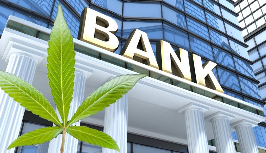 imagen de Bancos de Estados Unidos reclaman integrar al cannabis legal al sistema financiero