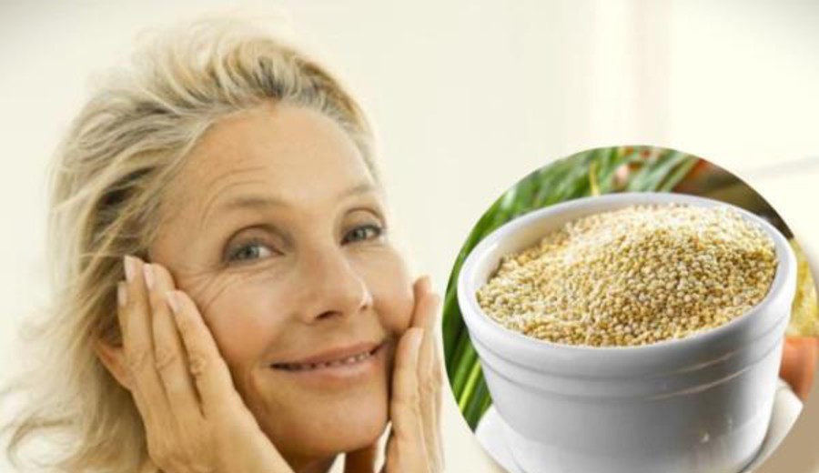 imagen de Científicos de Uruguay y Brasil identifican un prometedor efecto antienvejecimiento de la quinoa