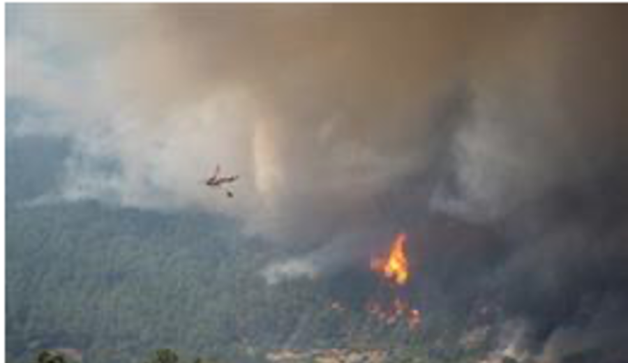 imagen de Varios fuegos activos arrasan decenas de miles de hectáreas en España: Los de la C.Madrid y Ávila, los que más preocupan