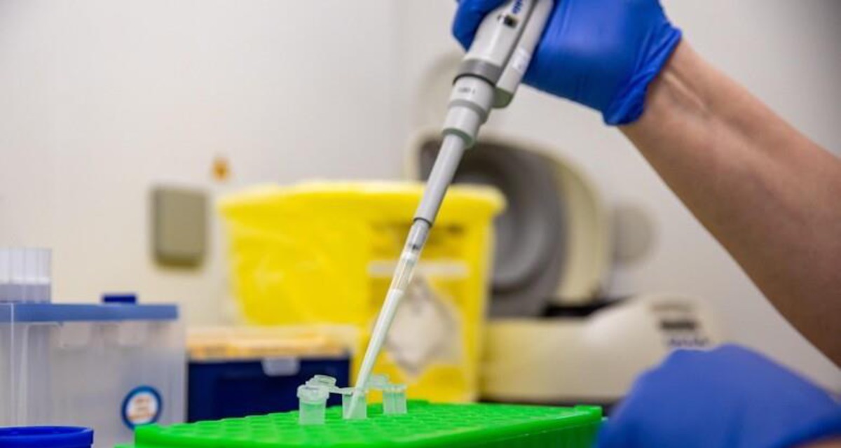 imagen de Por primera vez, virus creados con IA