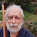 imagen de Bañados del arroyo Carrasco: la memoria selectiva de los gobiernos. Paul Moizo