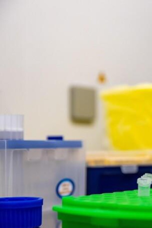 Imagen del contenido Por primera vez, virus creados con IA