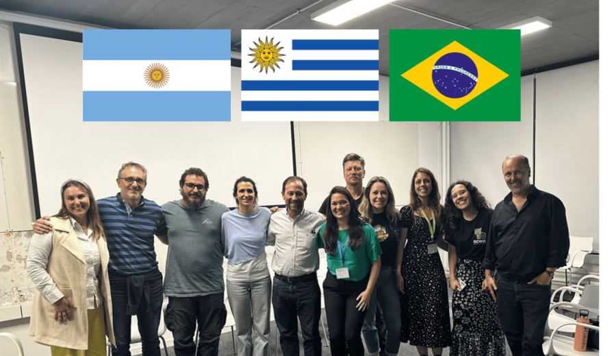 imagen de Investigadores de Uruguay, Argentina y Brasil se unen para conservar al gato de pajonal uruguayo