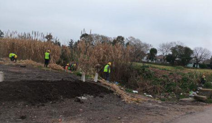 imagen de Intendencia de Canelones trabaja en la recuperación y el cuidado de la cuenca del arroyo Las Piedras