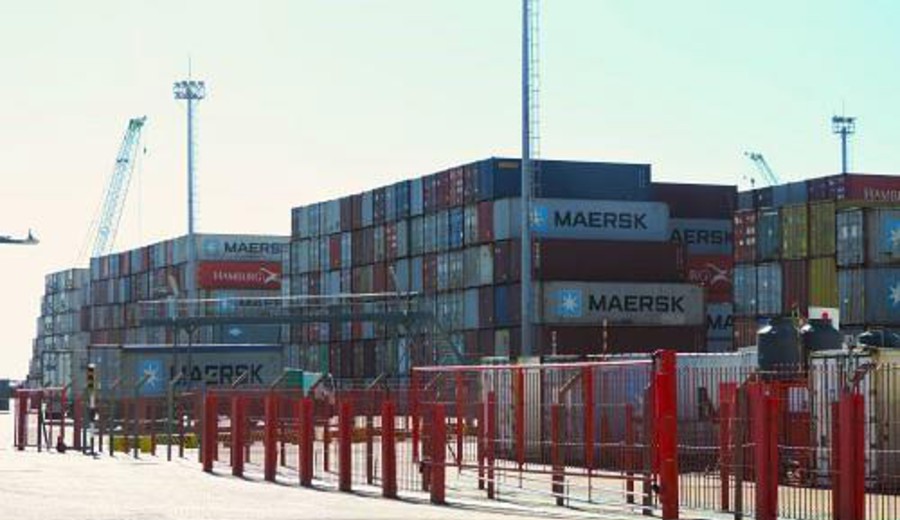 imagen de Exportaciones de julio tuvieron crecimiento interanual de 4%, encabezadas por carne bovina, celulosa y productos lácteos