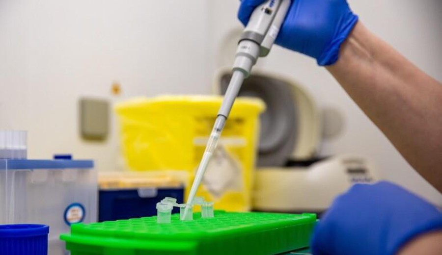 Imagen del contenido Por primera vez, virus creados con IA