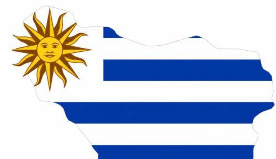 imagen de Colonia busca atraer inversiones argentinas y se presenta como destino para vivir y hacer negocios