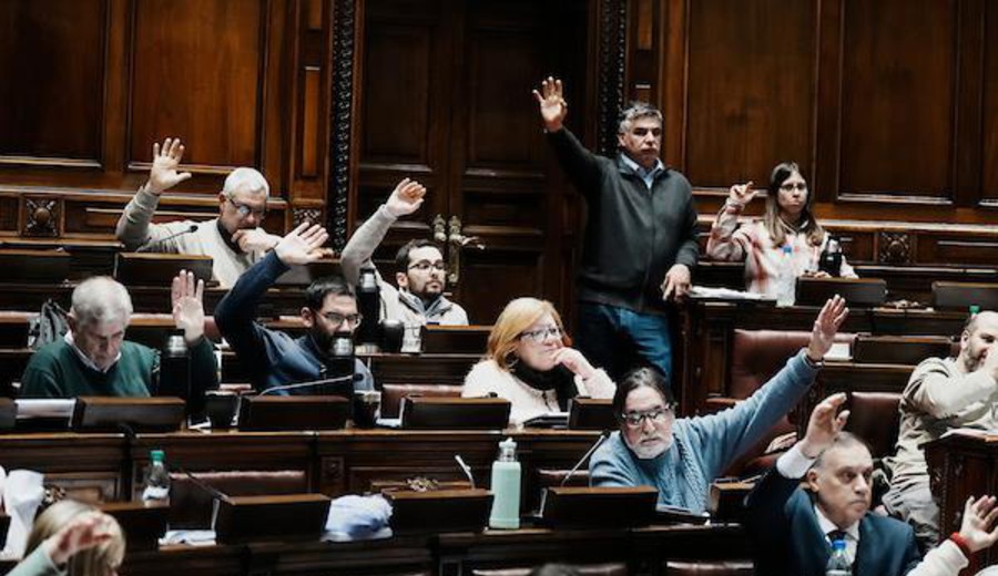 imagen de Rendición: Diputados rechazó, con 99 votos negativos, el "artículo Fabiana Goyeneche"