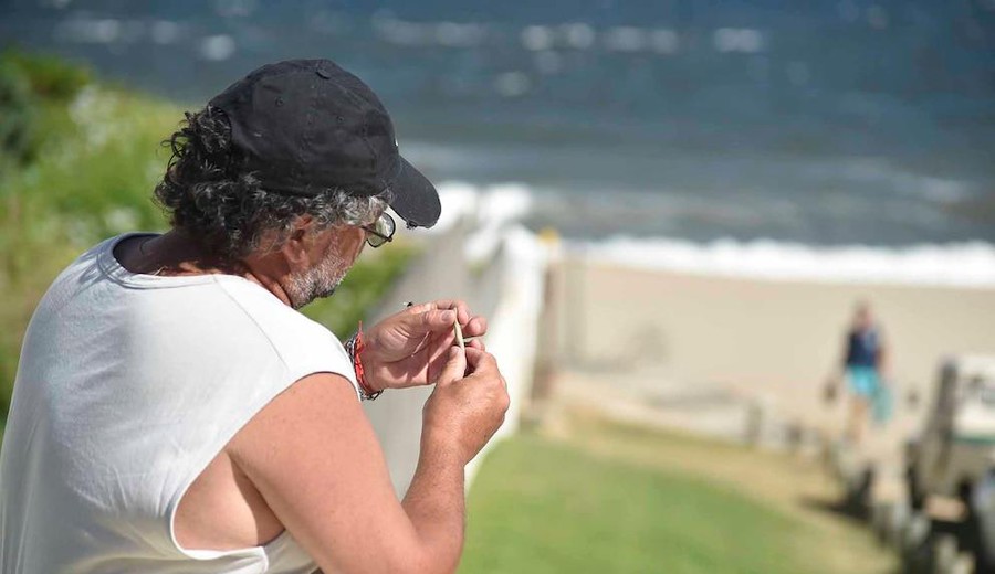 imagen de Un estudio en Uruguay advierte que el consumo de marihuana afecta la memoria, la atención y las funciones ejecutivas