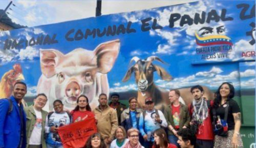imagen de Más allá de la delcyificación del análisis