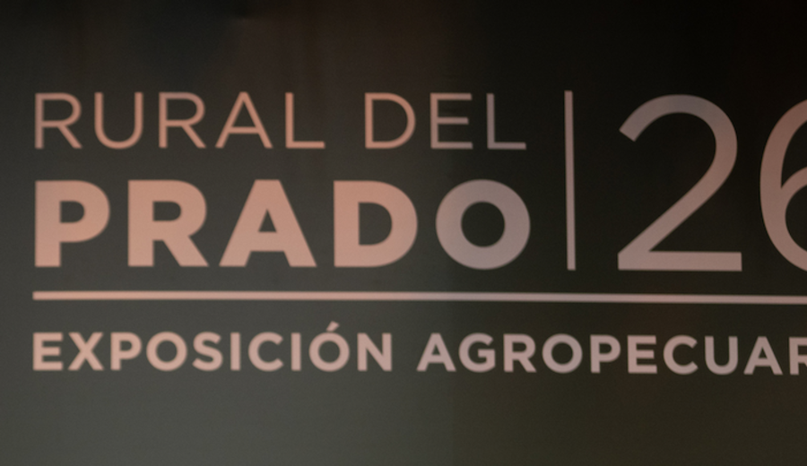 imagen de Expo Prado: Relaciones Exteriores pidió evitar el stand de Malvinas y luego dio marcha atrás